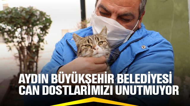 AYDIN BÜYÜKŞEHİR BELEDİYESİ CAN DOSTLARIMIZI UNUTMUYOR