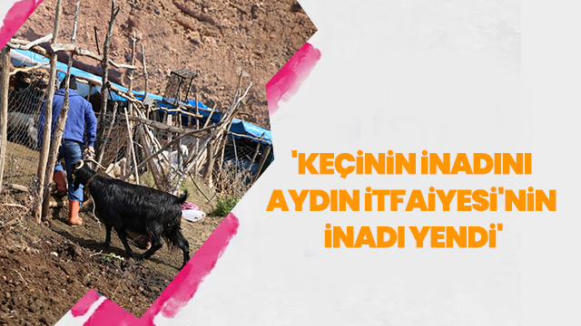 'KEÇİNİN İNADINI AYDIN İTFAİYESİ'NİN İNADI YENDİ'