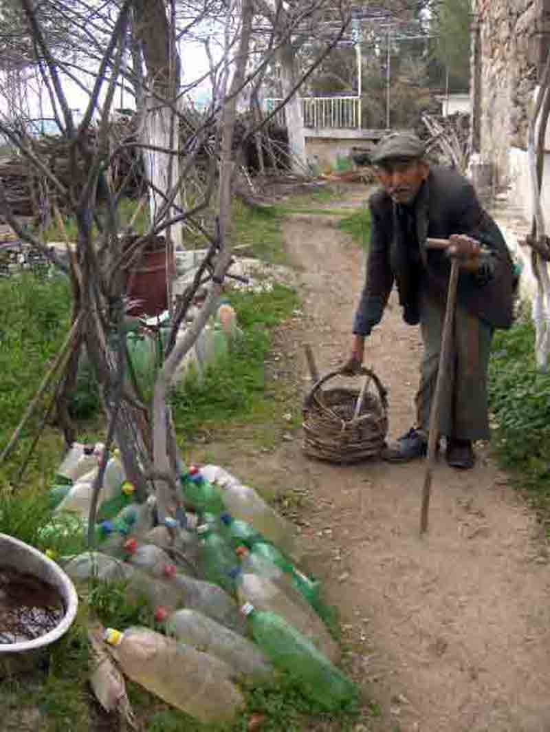 70 yaşındaki Ahmet dede hayatını ağaca ve çevreye adadı