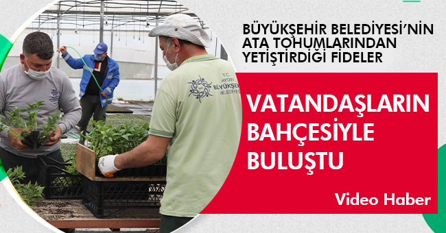 BÜYÜKŞEHİR BELEDİYESİ’NİN ATA TOHUMLARINDAN YETİŞTİRDİĞİ FİDELER VATANDAŞLARIN BAHÇESİYLE BULUŞTU