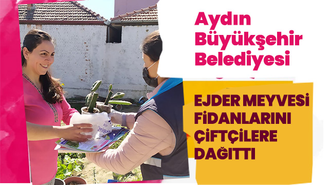 AYDIN BÜYÜKŞEHİR BELEDİYESİ EJDER MEYVESİ FİDANLARINI ÇİFTÇİLERE DAĞITTI