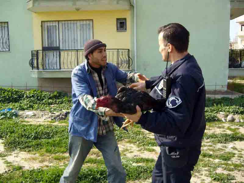Polis, idmanın izini sürdü, dövüşün göbeğine düştü