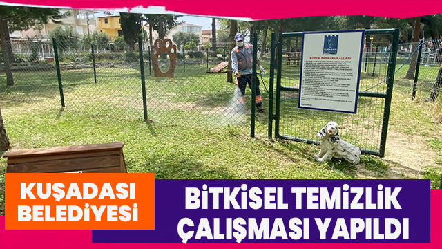 CAN DOSTLARIN YAŞAM ALANLARINA VEGAN TEMİZLİK