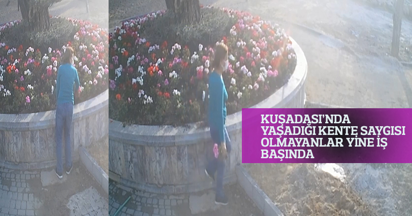 KUŞADASI’NDA YAŞADIĞI KENTE SAYGISI OLMAYANLAR YİNE İŞ BAŞINDA