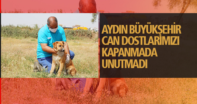 AYDIN BÜYÜKŞEHİR BELEDİYESİ CAN DOSTLARIMIZI YALNIZ BIRAKMIYOR