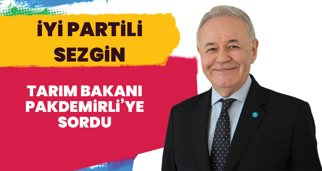 İYİ PARTİLİ SEZGİN, BAKAN PAKDEMİRLİ'YE SORDU