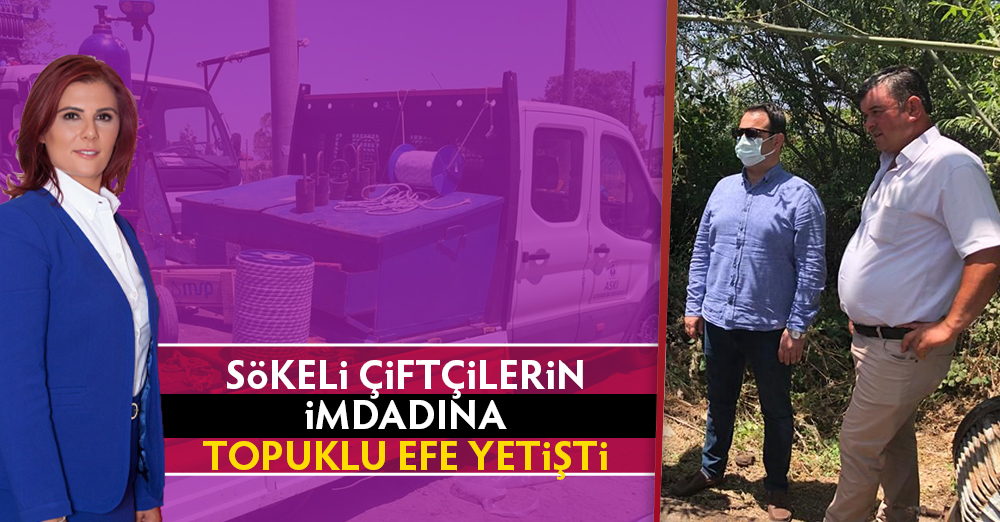 SÖKELİ ÇİFÇİLERİMİZİN İMDADINA TOPUKLU EFE YETİŞTİ