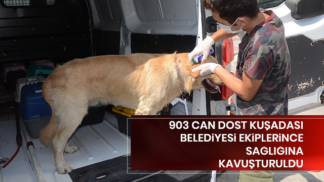 903 CAN DOST KUŞADASI BELEDİYESİ EKİPLERİNCE SAĞLIĞINA KAVUŞTURULDU