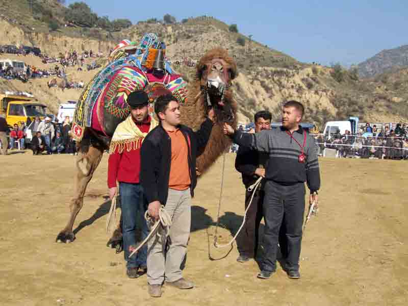 Bozdoğan’dan Sarıoğlu kendi evinde görücüye çıkıyor