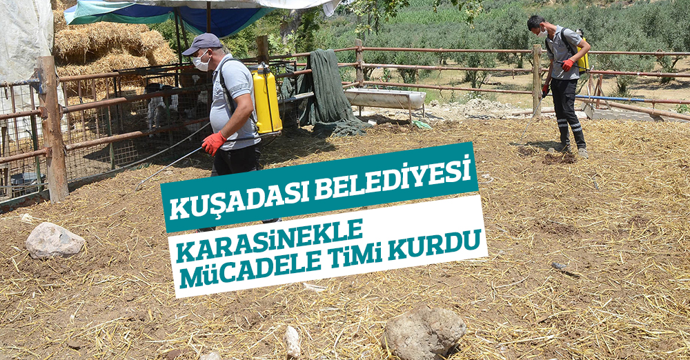 KARASİNEKLE MÜCADELE TİMİ KURULDU