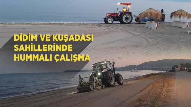 DİDİM VE KUŞADASI SAHİLLERİNDE HUMMALI ÇALIŞMA