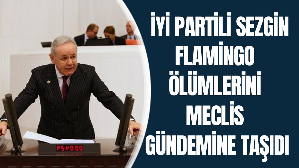 İYİ Partili Sezgin, flamingo ölümlerini Meclis gündemine taşıdı