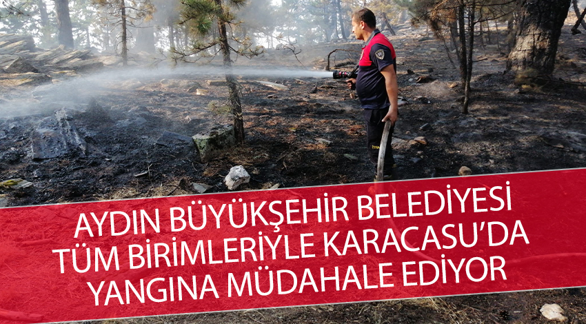 BÜYÜKŞEHİR TÜM BİRİMLERİYLE KARACASU’DA YANGINA MÜDAHALE EDİYOR