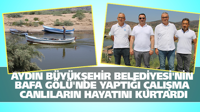 AYDIN BÜYÜKŞEHİR BELEDİYESİ'NİN BAFA GÖLÜ'NDE YAPTIĞI ÇALIŞMA CANLILARIN HAYATINI KURTARDI