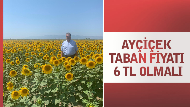 AYÇİÇEK TABAN FİYATI 6 TL OLMALI