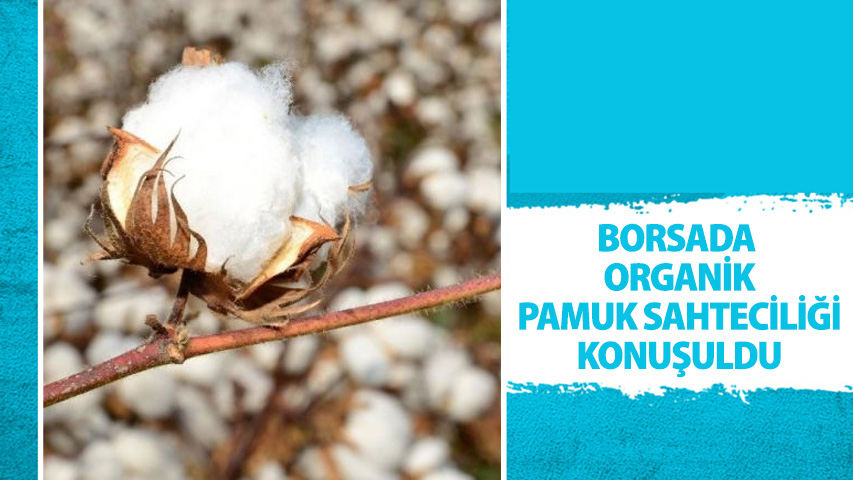 BORSADA ORGANİK PAMUK SAHTECİLİĞİ KONUŞULDU