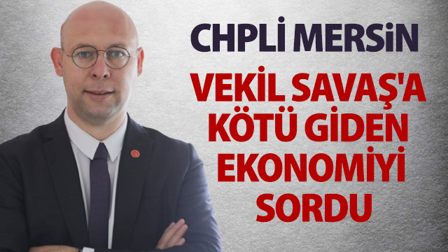 CHP’li Mersin: Yaşadığımız ekonomik krizin faturasını hep birlikte ödüyoruz