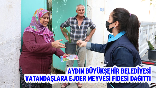 AYDIN BÜYÜKŞEHİR BELEDİYESİ EJDER MEYVESİ FİDESİ DAĞITTI