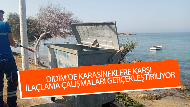 DİDİM’DE KARASİNEKLERE KARŞI İLAÇLAMA ÇALIŞMALARI GERÇEKLEŞTİRİLİYOR