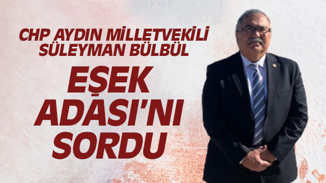 BÜTÇE GÖRÜŞMELERİNDE “EŞEK ADASI” SORUSU