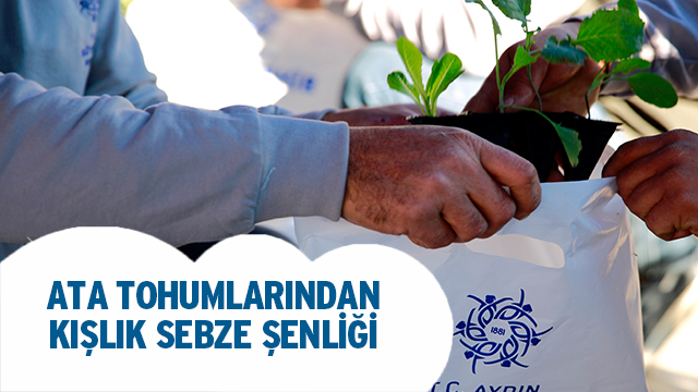 Ata Tohumlarından Kışlık Sebze Şenliği