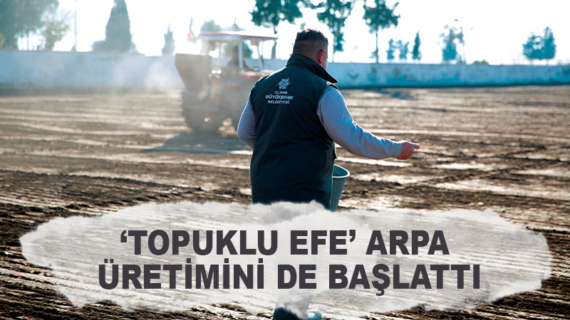 ‘TOPUKLU EFE’ ARPA ÜRETİMİNİ DE BAŞLATTI