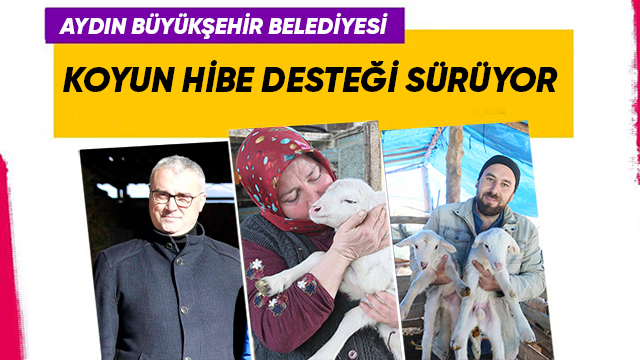 AYDIN BÜYÜKŞEHİR BELEDİYESİ’NİN KOYUN HİBE DESTEĞİ İLE SÜRÜLER BÜYÜYOR