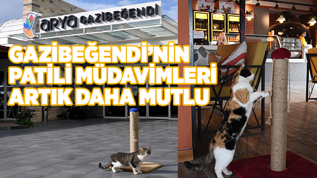 GAZİBEĞENDİ’NİN PATİLİ MÜDAVİMLERİ ARTIK DAHA MUTLU