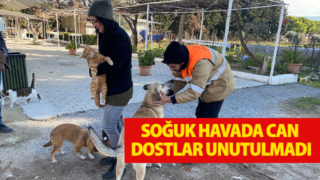 KUŞADASI BELEDİYESİ SOĞUK HAVADA CAN DOSTLARINI UNUTMADI