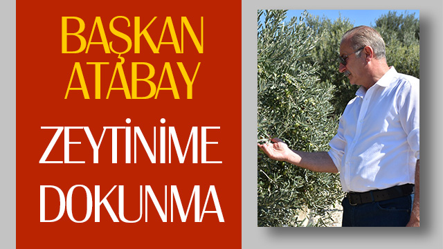 BAŞKAN ATABAY: ZEYTİNİME DOKUNMA