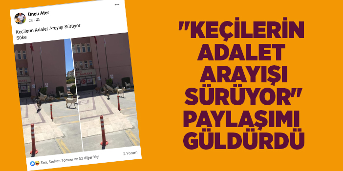"KEÇİLERİN ADALET ARAYIŞI SÜRÜYOR" PAYLAŞIMI GÜLDÜRDÜ