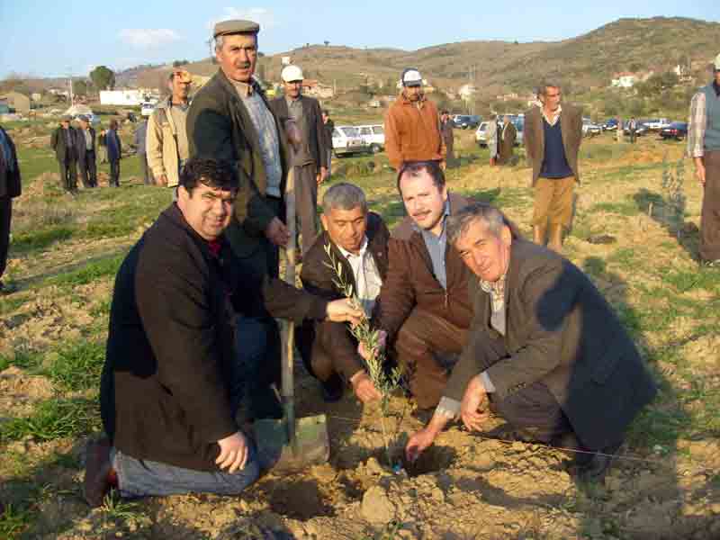 Aydın’da Ağaç Dikim Kampanyası hız kesmiyor