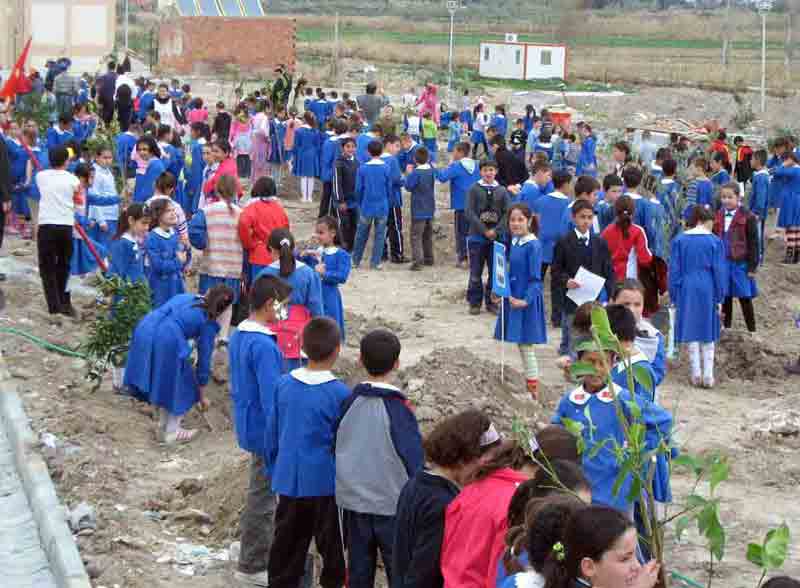 Yenidoğan TOKİ evleri yeşillendi