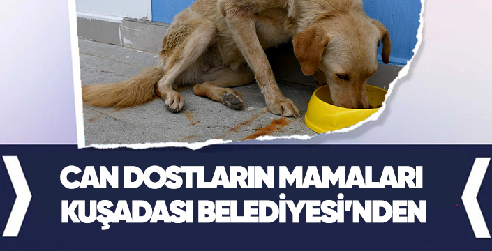 CAN DOSTLARIN MAMALARI KUŞADASI BELEDİYESİ’NDEN