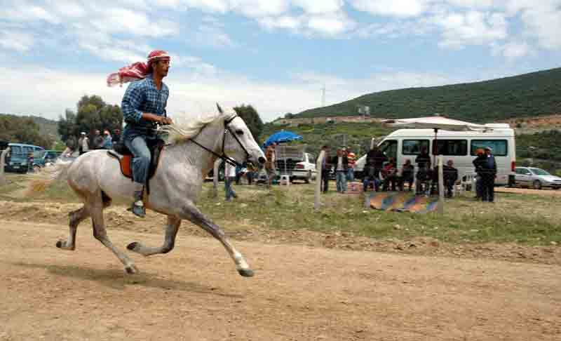 Kuşadası’nda 9. Rahvan At Yarışları yapılacak