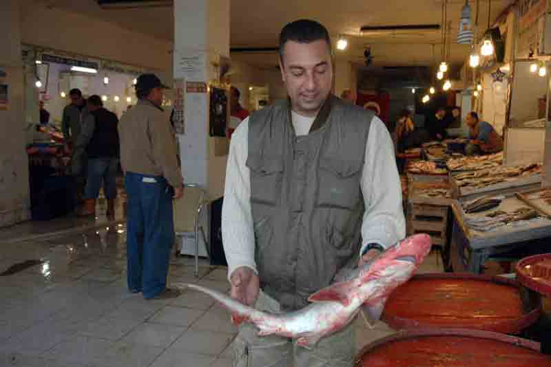Kuşadası körfezinde köpekbalığı yakalandı