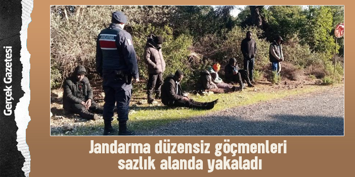Jandarma düzensiz göçmenleri sazlık alanda yakaladı
