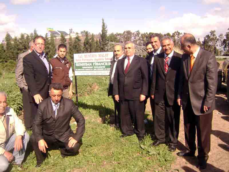 Vali Malay fidan dikti