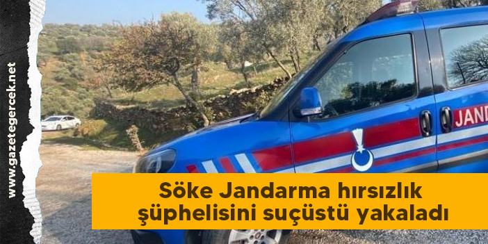 Söke Jandarma hırsızlık şüphelisini suçüstü yakaladı