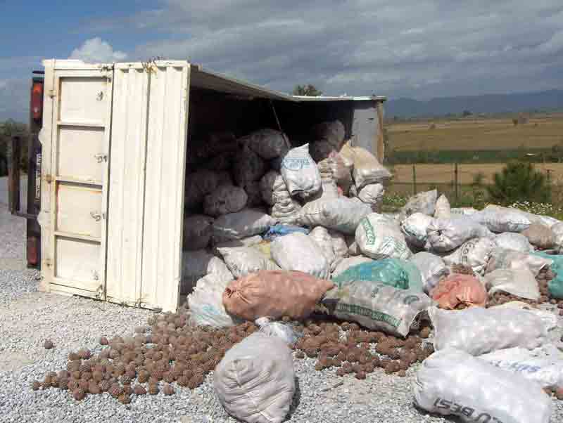 Freni boşalan kamyon devrildi