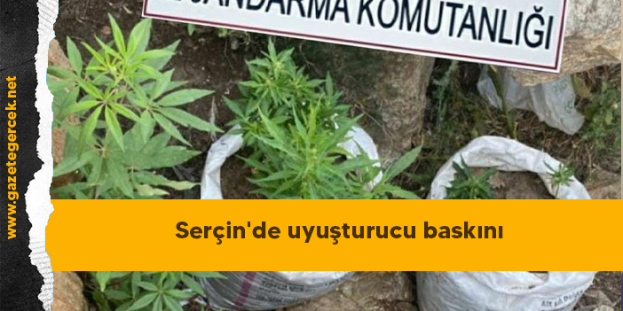 Serçin'de uyuşturucu baskını