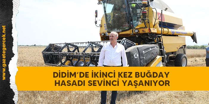 DİDİM’DE İKİNCİ KEZ BUĞDAY HASADI SEVİNCİ YAŞANIYOR
