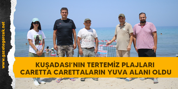 KUŞADASI’NIN TERTEMİZ PLAJLARI CARETTA CARETTALARIN YUVA ALANI OLDU