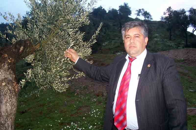 Aydın İl Genel Meclisi Üyesi Karaman, “Geleceğimiz zeytinde”