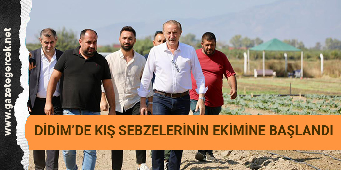 DİDİM’DE KIŞ SEBZELERİNİN EKİMİNE BAŞLANDI