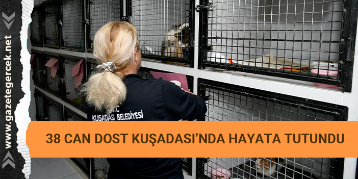 38 CAN DOST KUŞADASI’NDA HAYATA TUTUNDU