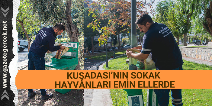 KUŞADASI’NIN SOKAK HAYVANLARI EMİN ELLERDE