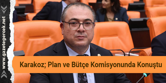 Karakoz; Plan ve Bütçe Komisyonunda Konuştu