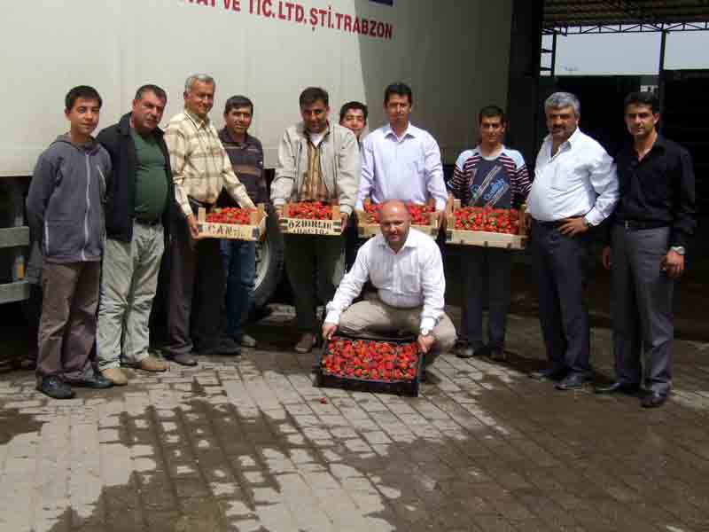 Domates Rusya’nın kapısından döndü, imajımızı çilek kurtardı!..