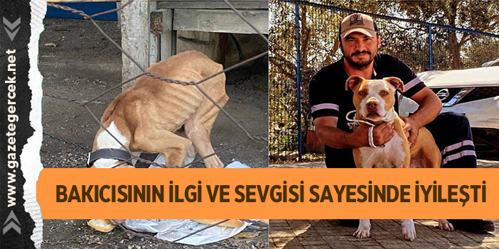 BAKICISININ İLGİ VE SEVGİSİ SAYESİNDE İYİLEŞTİ